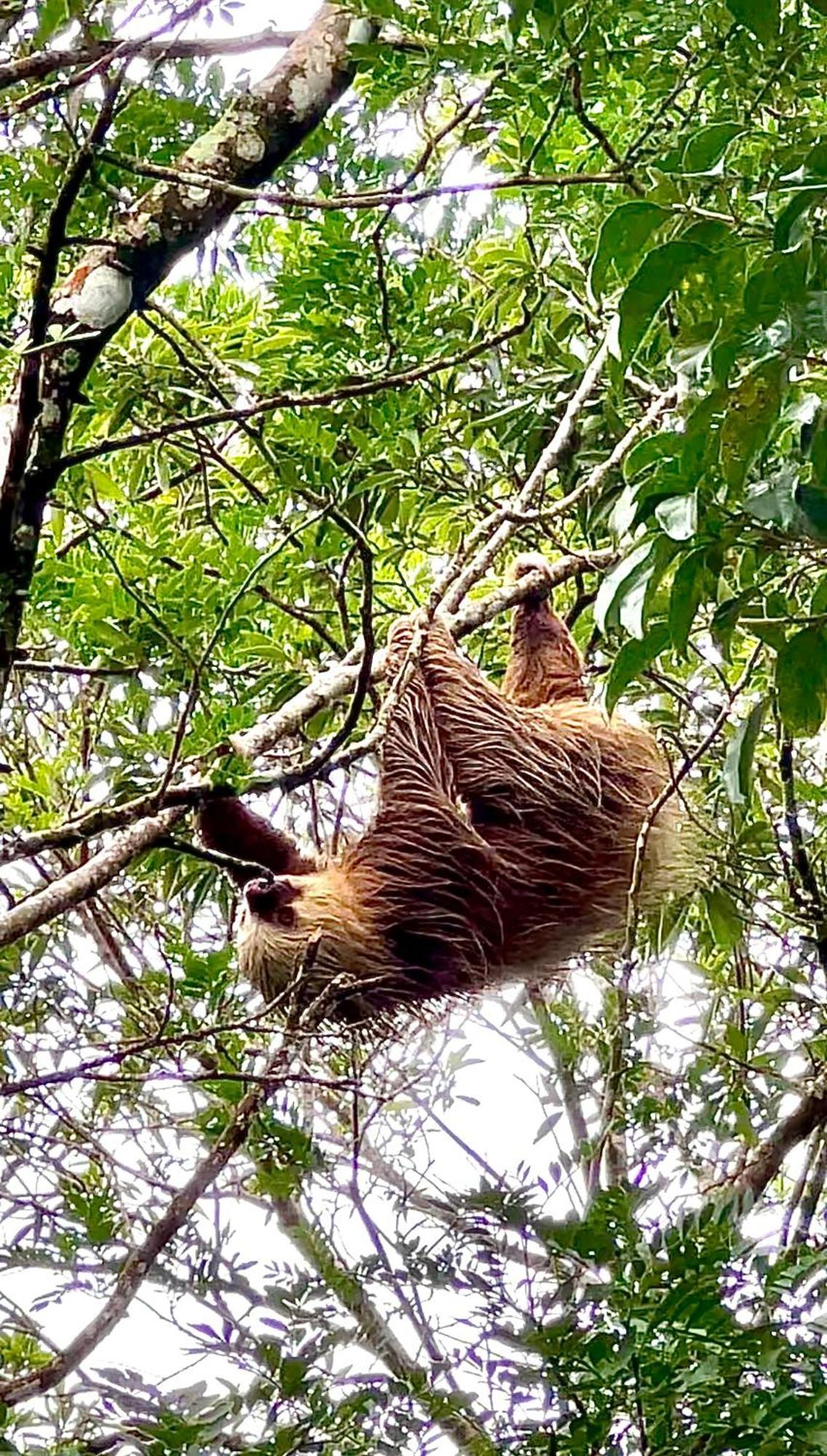 Monteverde Magic Mountain Zewnętrze zdjęcie